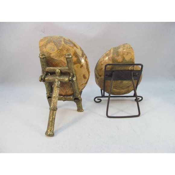 Cut Split Pair Polished Ammonite Fossil Crystal with Stands Small 3" x 2.5" - Picture 9 of 15